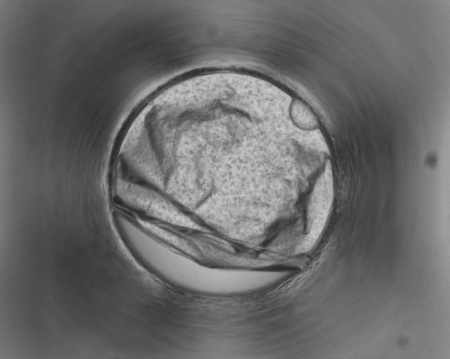 X0000116670943201001111308