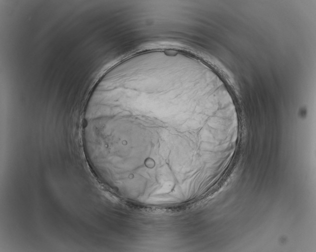 X0000116670945201001111308