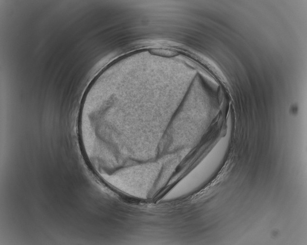 X0000116670946201001111308