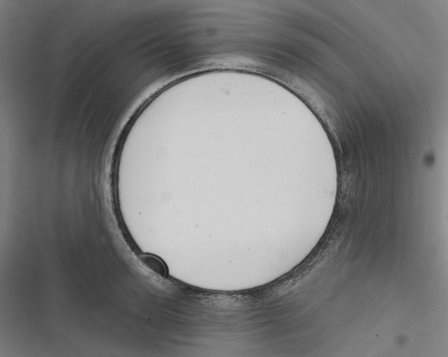 X0000116670947201001111308