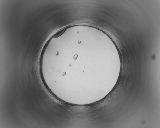 X0000116670949201001111308