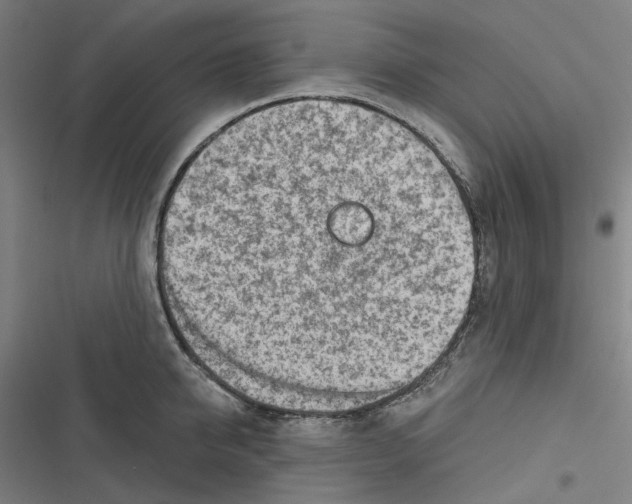 X0000116670950201001111308