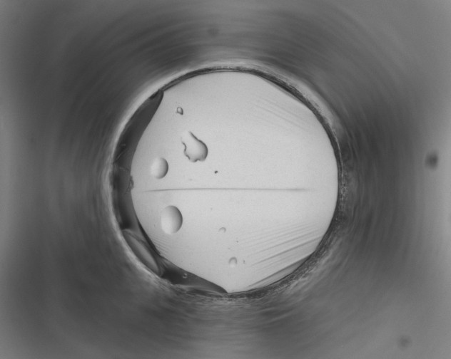 X0000116670951201001111308