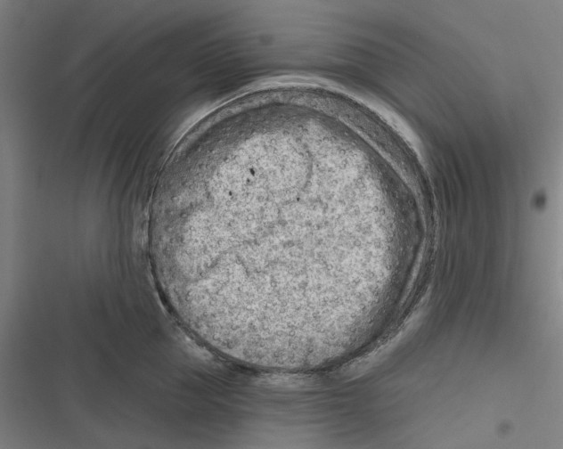 X0000116670953201001111308