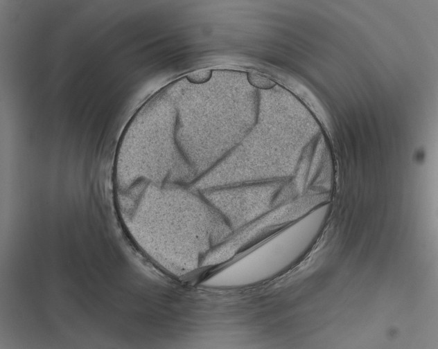 X0000116670954201001111308