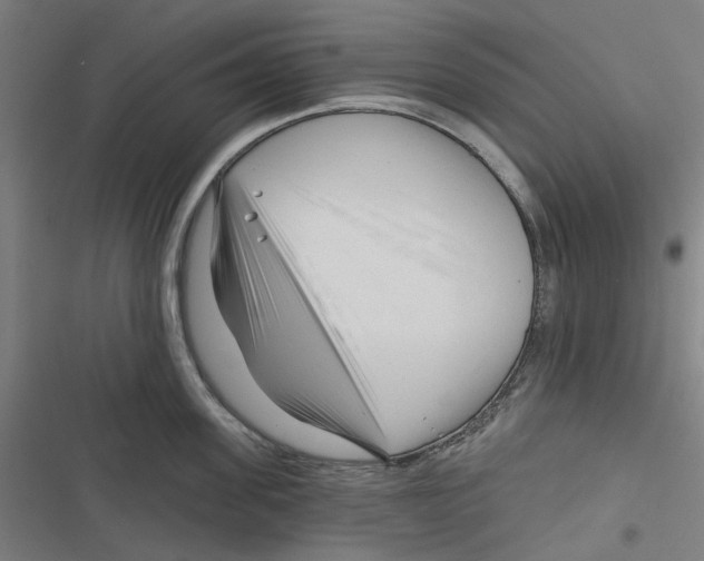 X0000116670955201001111308