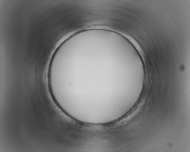 X0000116670957201001111308