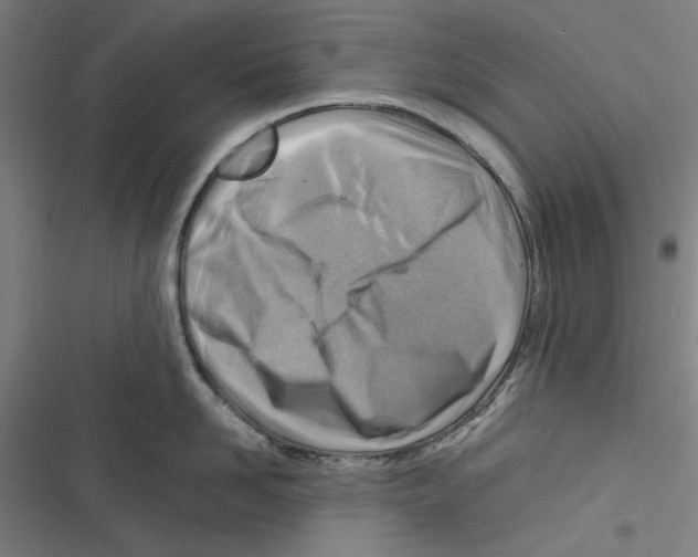 X0000116670958201001111308