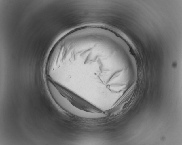 X0000116670959201001111308