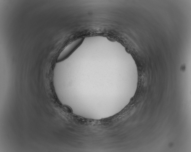 X0000116670961201001111307