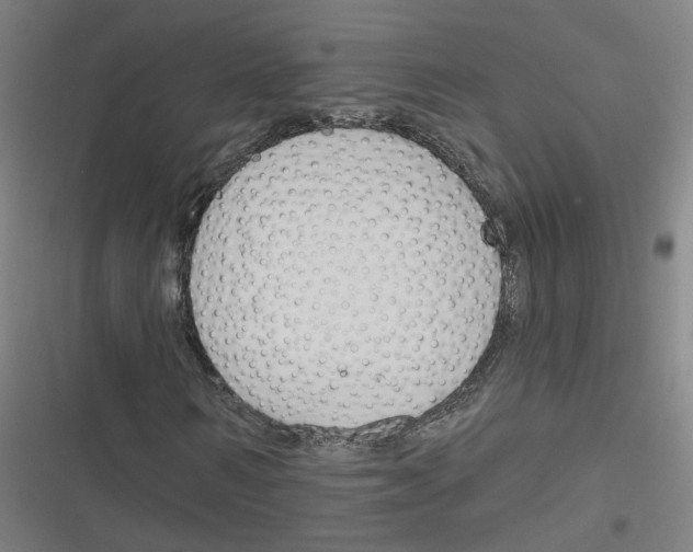 X0000116670962201001111307