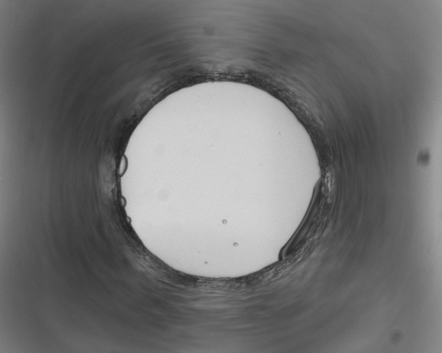 X0000116670963201001111307