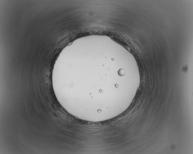 X0000116670964201001111307