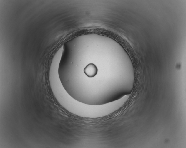 X0000116670965201001111307