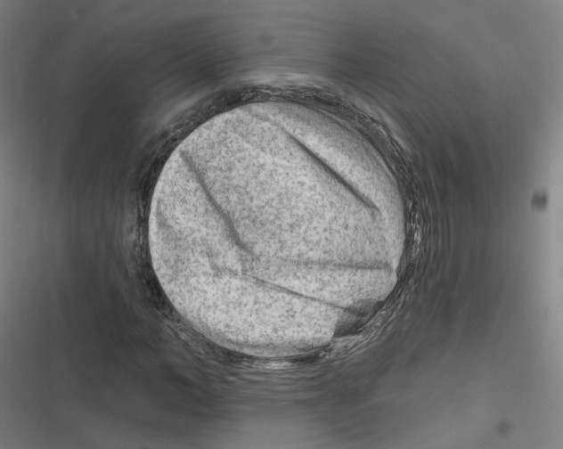 X0000116670966201001111307