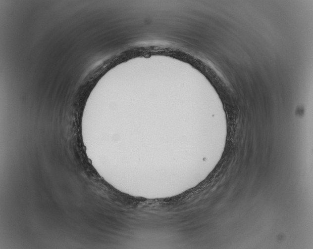 X0000116670967201001111307