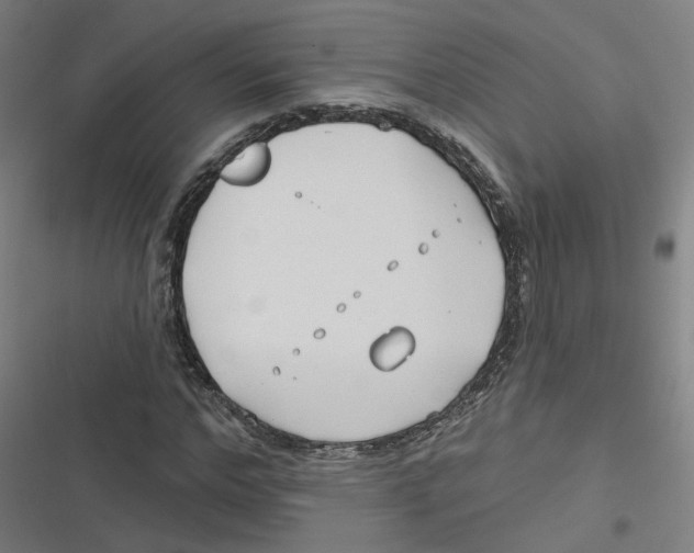 X0000116670968201001111307