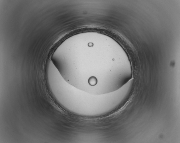 X0000116670969201001111307