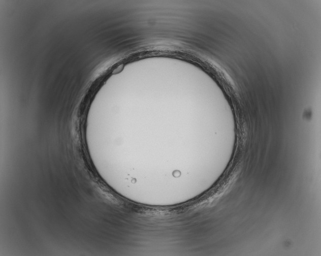 X0000116670970201001111307