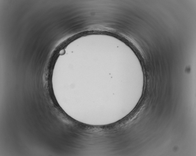 X0000116670971201001111307