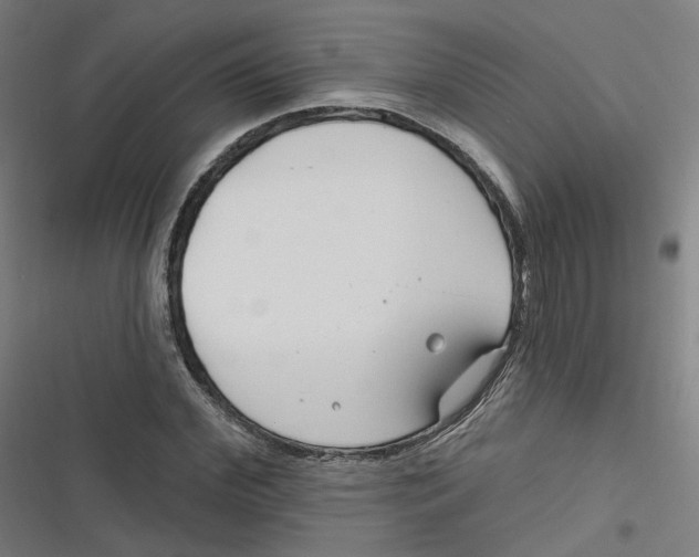 X0000116670972201001111307