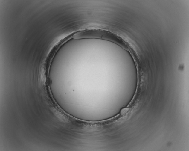 X0000116670973201001111307