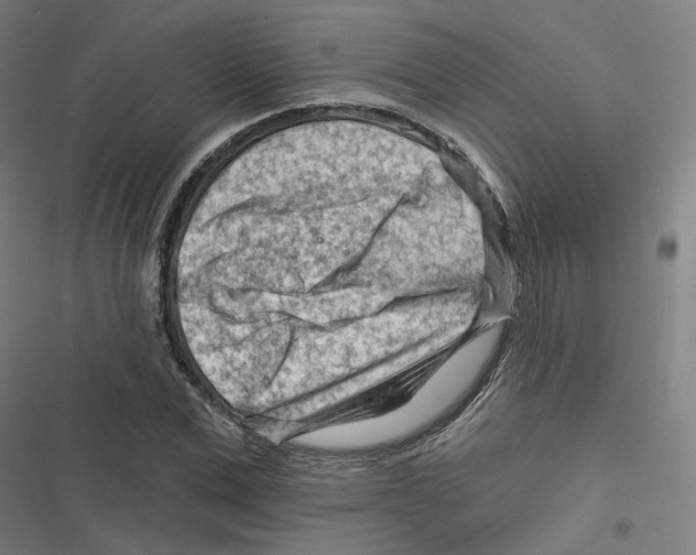 X0000116670975201001111307