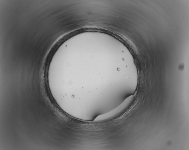 X0000116670976201001111307