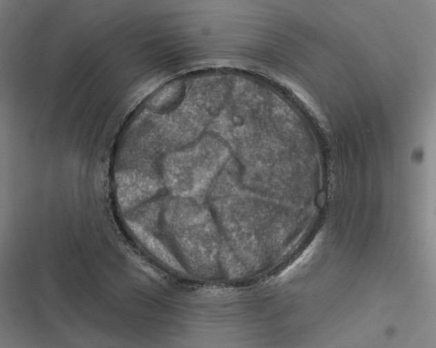 X0000116670977201001111307