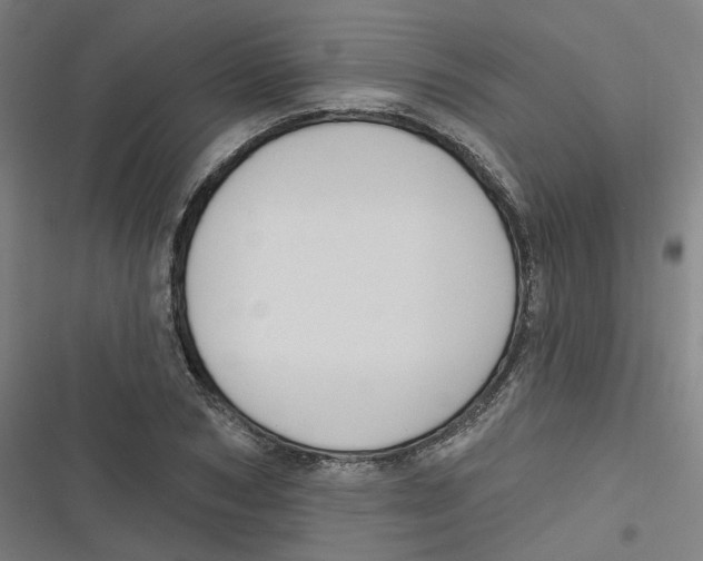 X0000116670978201001111307