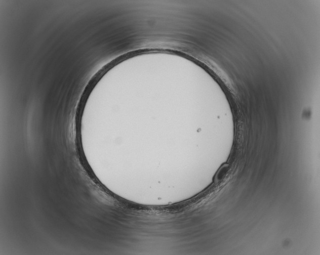 X0000116670980201001111307