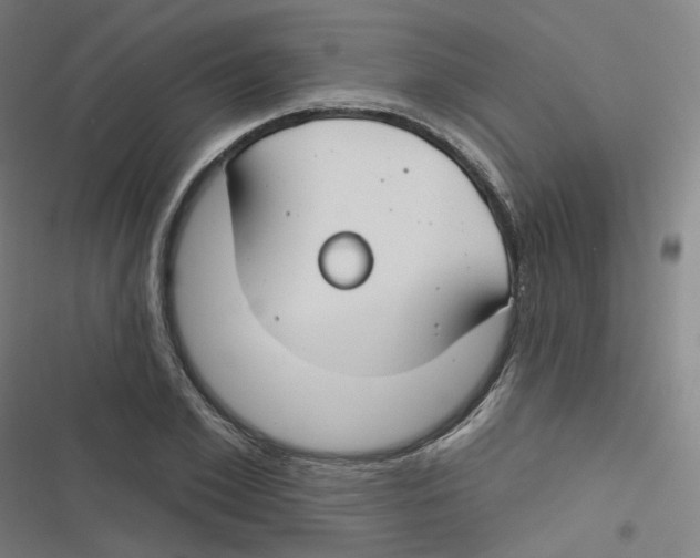 X0000116670981201001111307