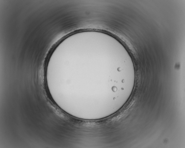 X0000116670982201001111307