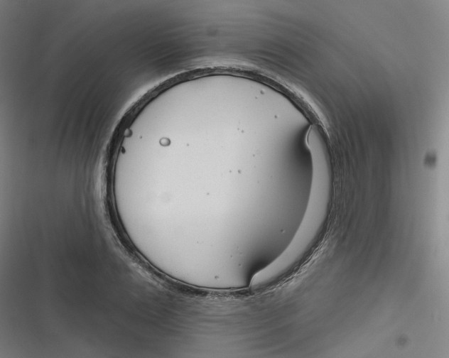 X0000116670983201001111307