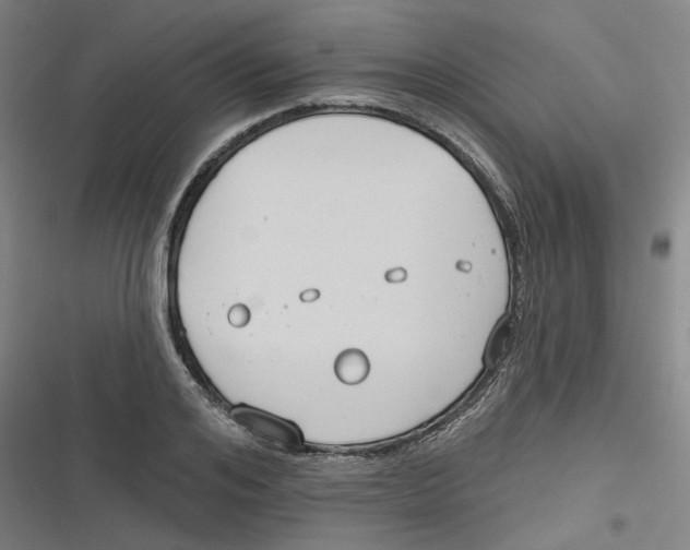 X0000116670984201001111307