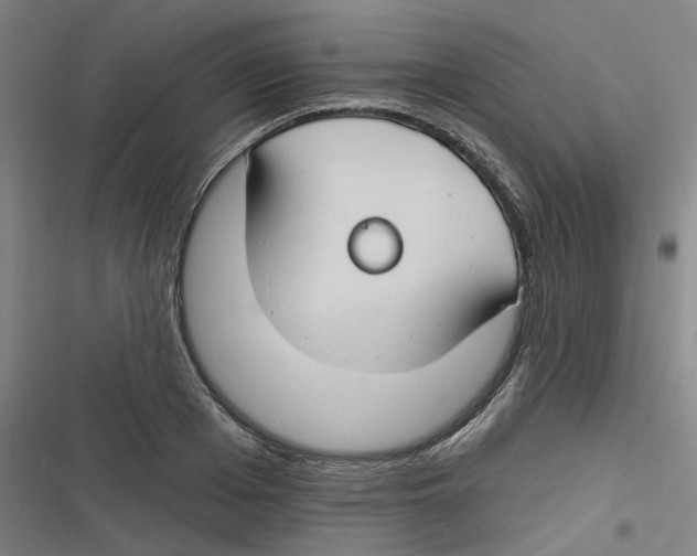 X0000116670985201001111307