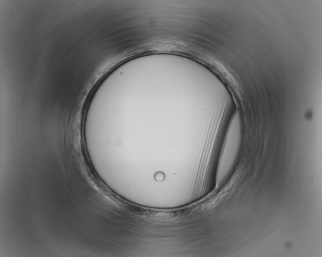 X0000116670986201001111307