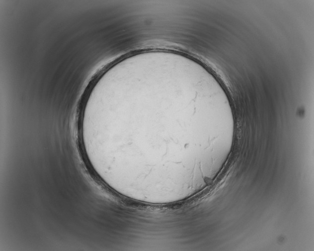 X0000116670987201001111307