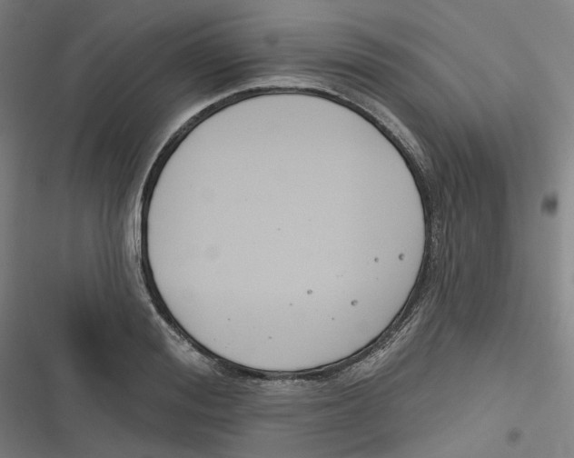 X0000116670988201001111307