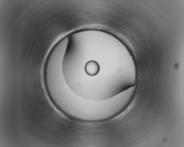 X0000116670989201001111307