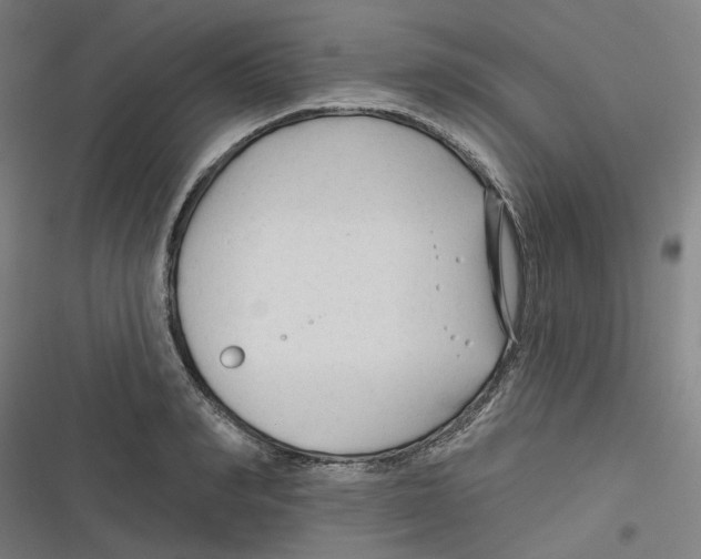 X0000116670990201001111307