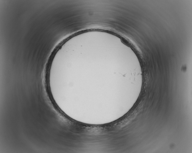 X0000116670991201001111307