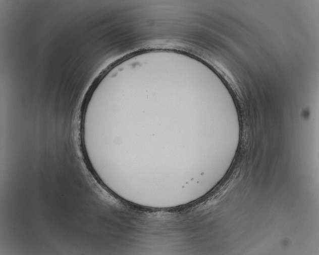 X0000116670992201001111307