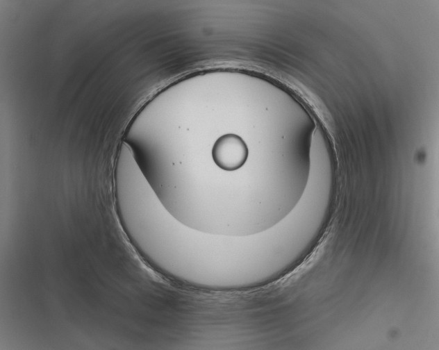 X0000116670993201001111307