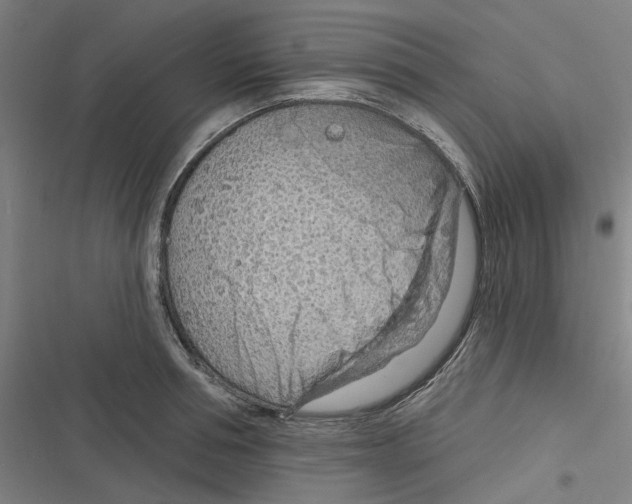 X0000116670994201001111307