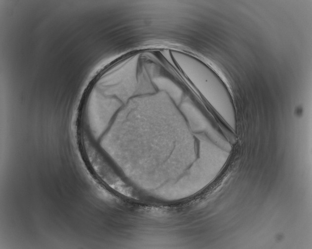 X0000116670995201001111307