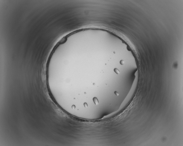 X0000116670996201001111307