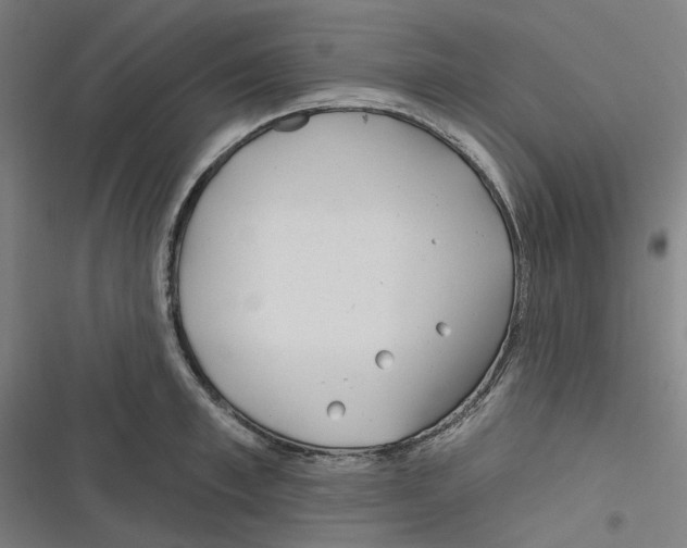 X0000116670997201001111307