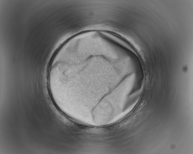 X0000116670998201001111307