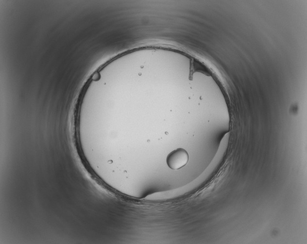 X0000116670999201001111307